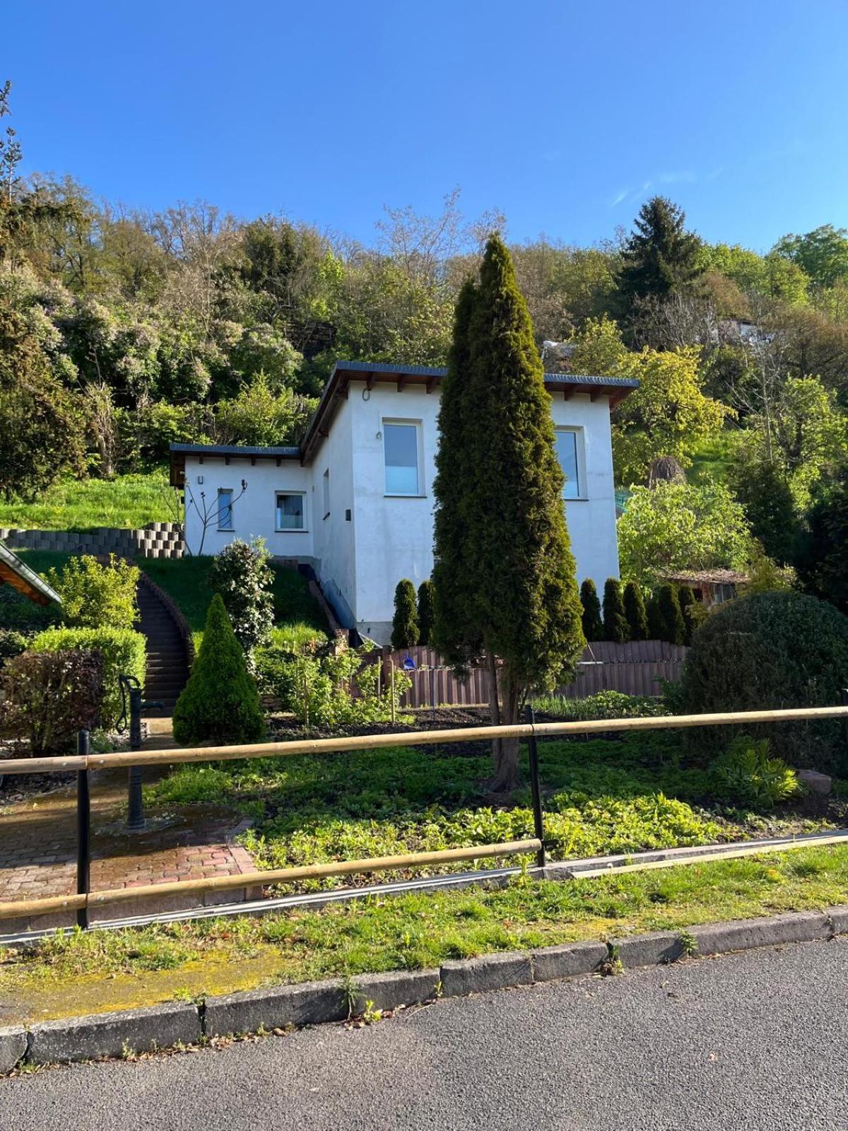 Ferienhaus Soleblick Bad Salzungen Exteriör bild
